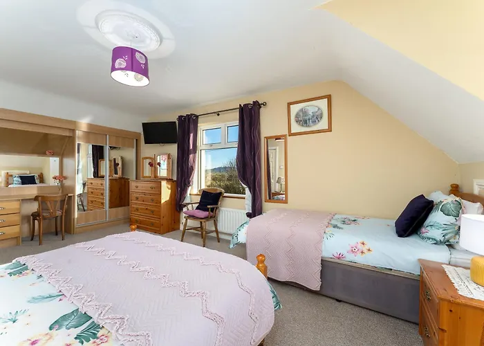 206 - 巴利康尼利